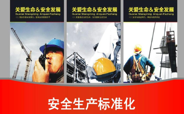 安全生產(chǎn)標(biāo)準(zhǔn)化八個一級要素基本要求，你知道幾個?
